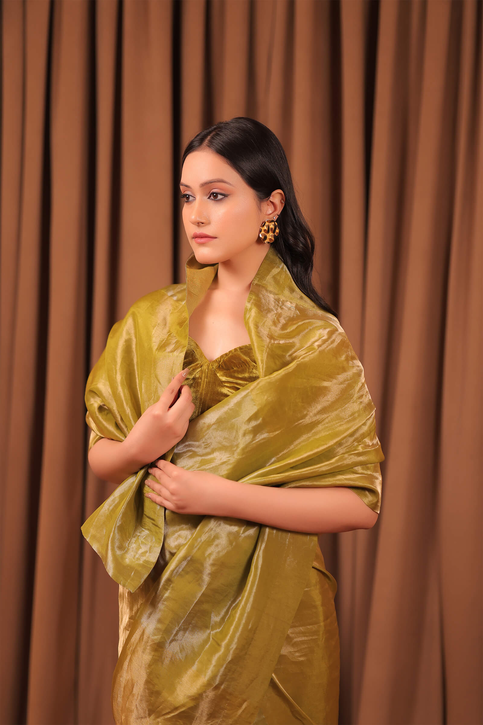 Olive Handloom Silk Tissue Brocade Banarasi Saree