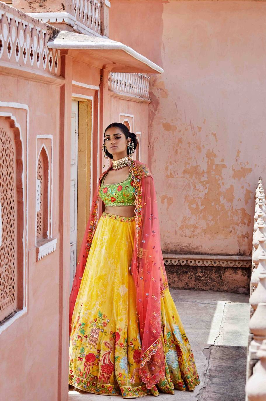 Hand Painted Lehenga Set