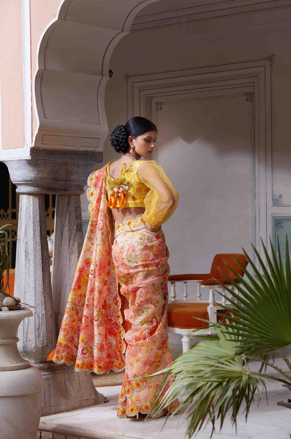 Printed Saree With Embroidered Blouse