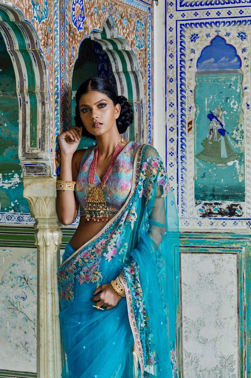 Net Embroidered Saree With Allover Jaal