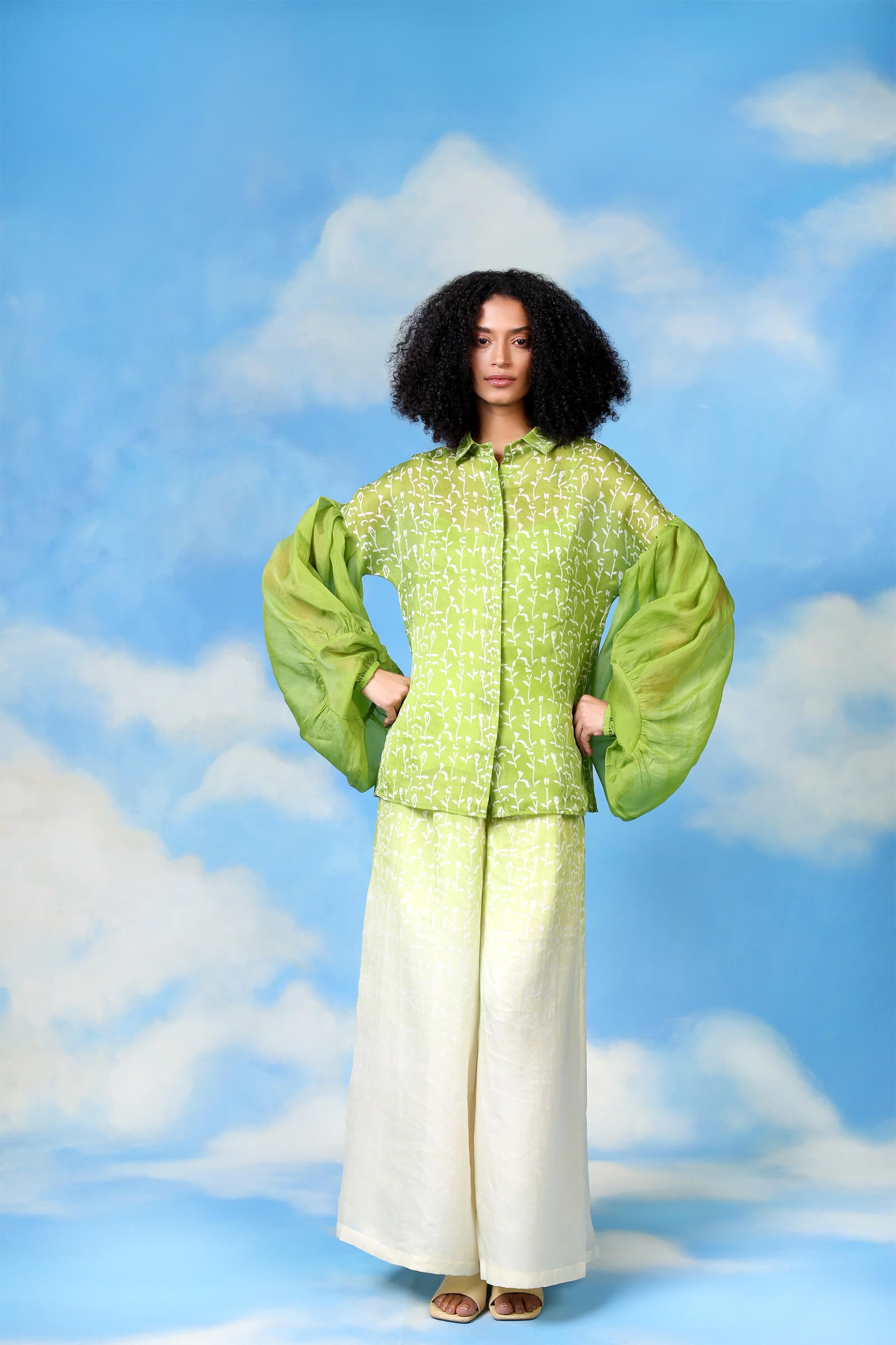 Ivory Green Block Printed Organza Co Ord