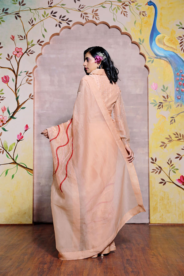 Organza Saree With Full Sleeve Blouse