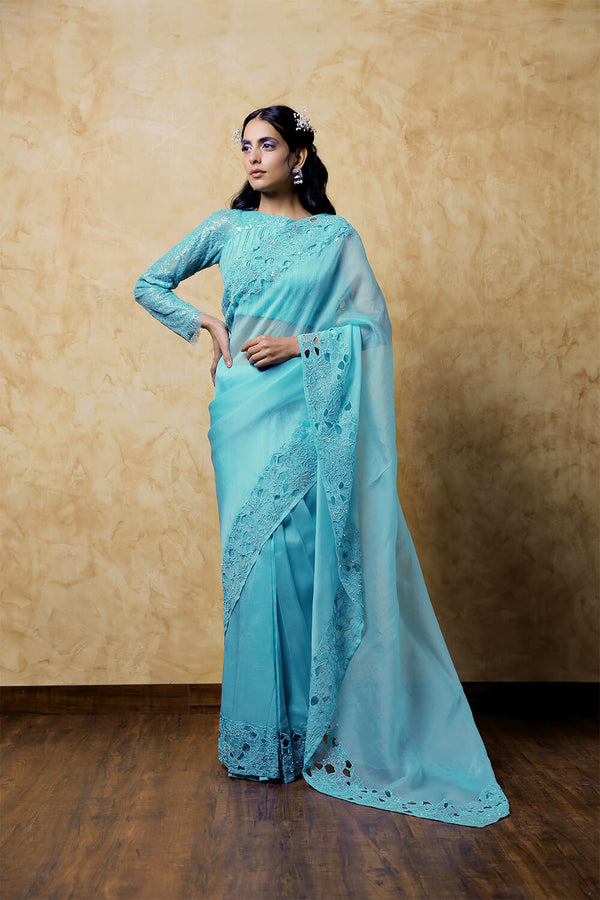 Organza Saree With Cut Work. Chandelier Lace Embroidered Blouse
