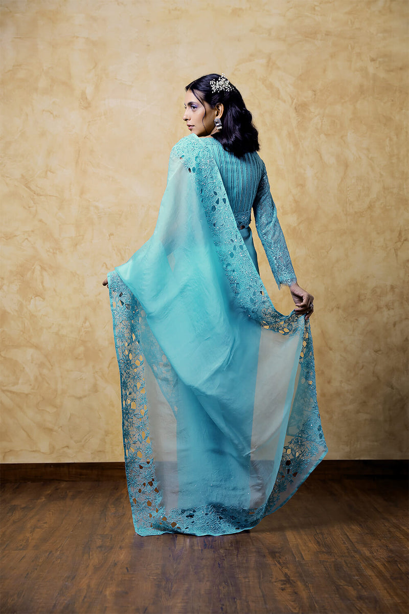 Organza Saree With Cut Work. Chandelier Lace Embroidered Blouse