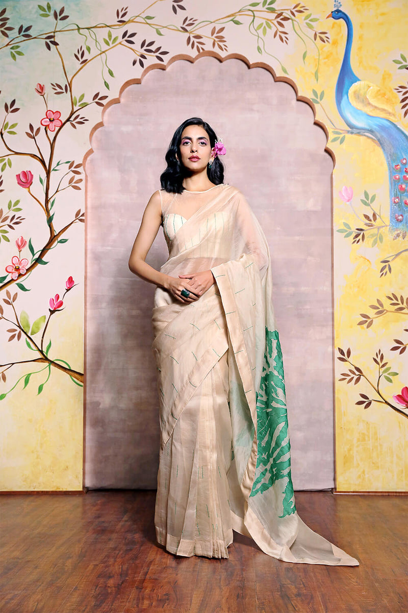Beige Organza Saree with Applique Work and Fully Hand Embroidered Blouse