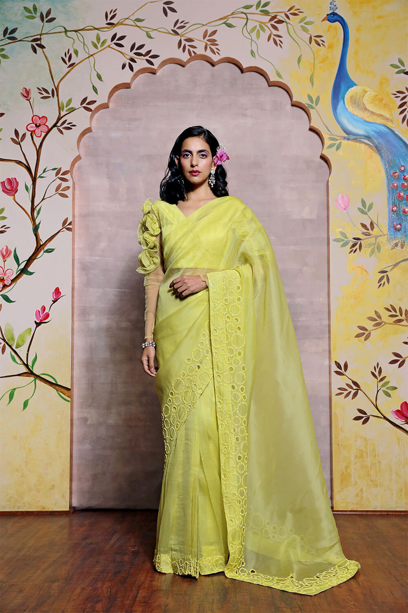 Organza Saree With Cut work Border and  Blouse
