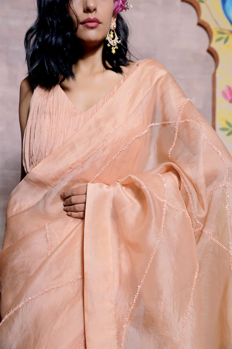 Peach Organza Saree with Red Hand Embroidery Detailing and Georgette Blouse