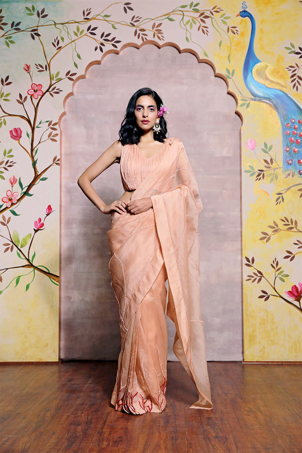 Peach Organza Saree with Red Hand Embroidery Detailing and Georgette Blouse