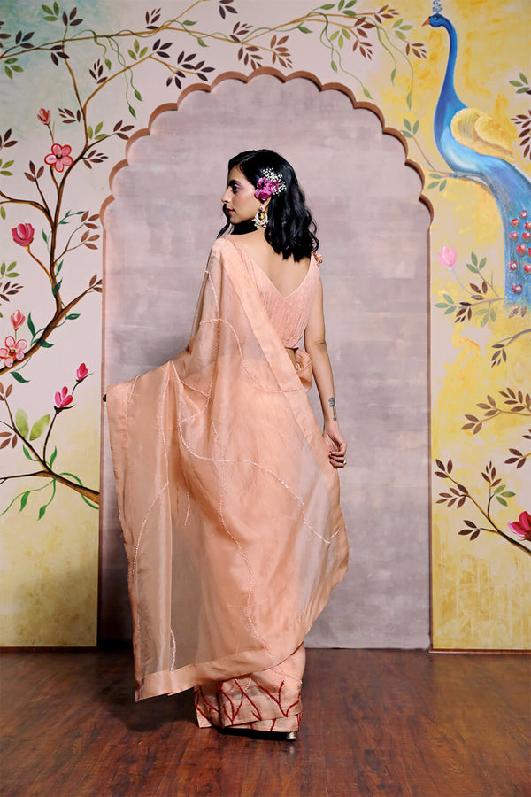 Peach Organza Saree with Red Hand Embroidery Detailing and Georgette Blouse